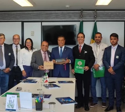 Vereadores de Rio Verde garantem mais de R$ 5 milhões em recursos em Brasília