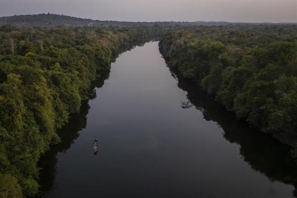 Amazônia: Degradação florestal em 2025 cresce quase 500%