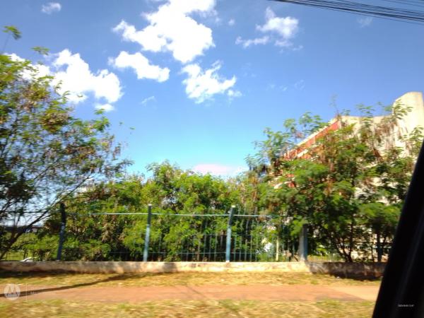 Sábado de tempo firme no MS
