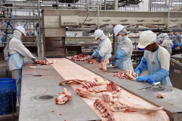 Mais de 160 mil trabalhadores formais fazem da indústria de MS um destaque nacional