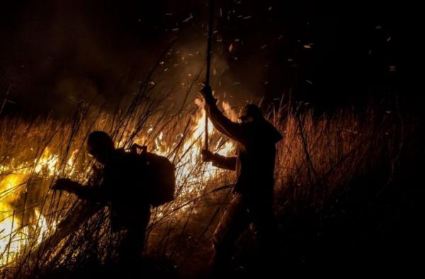Governo de MS lança edital do PSA Brigadas para combate a incêndios no Pantanal