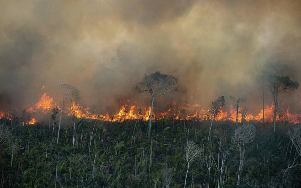 Desmatamento da Amazônia cresce 55% em abril deste ano
