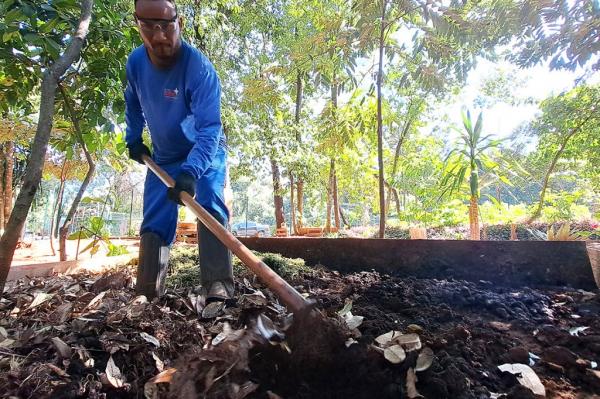 De volta ao ciclo, borra de café dá vida ao verde da ALEMS