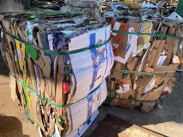Ceasa reciclou 662 toneladas de resíduos em cinco meses