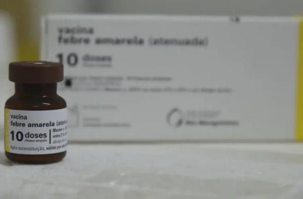 MS completa 10 anos sem casos de febre amarela humana