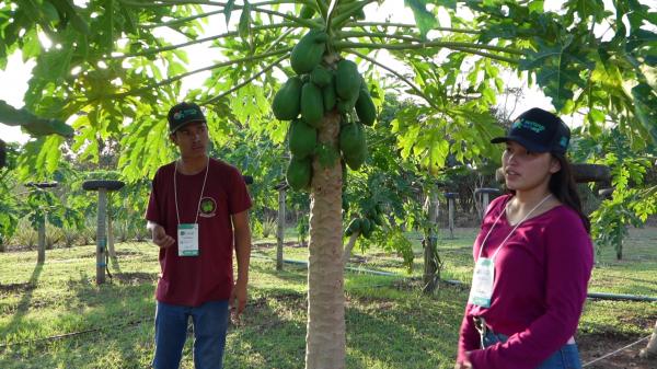 Vitrines Tecnológicas do Pantanal Tech MS trazem inovação a serviço da sustentabilidade