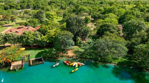 No mês do meio ambiente, negócios do Estado protagonizam sustentabilidade