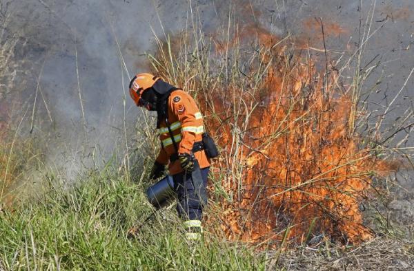 Imasul publica mapa de áreas prioritárias para execução da queima prescrita no Pantanal