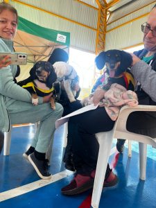 Caravana da Castração avança em MS com mais de 1 mil atendimentos