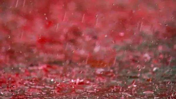 Como funciona a “chuva de sangue” que já foi registrada em diferentes países?