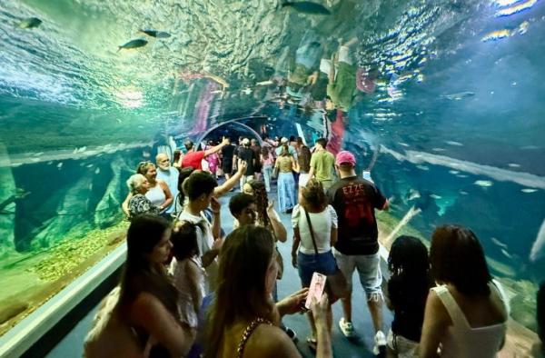 Bioparque Pantanal bate recorde de visitantes
