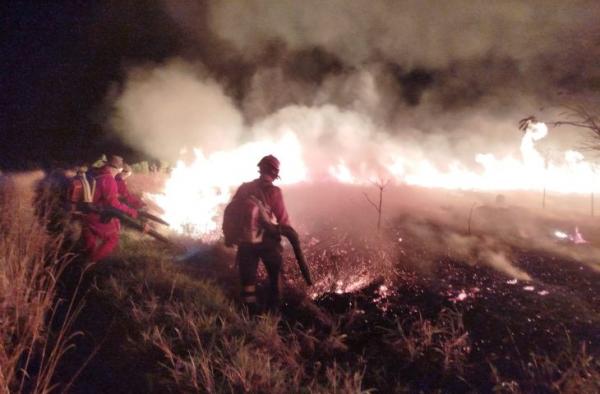Atuação do Corpo de Bombeiros contribui para controle de incêndio em parque estadual de MS