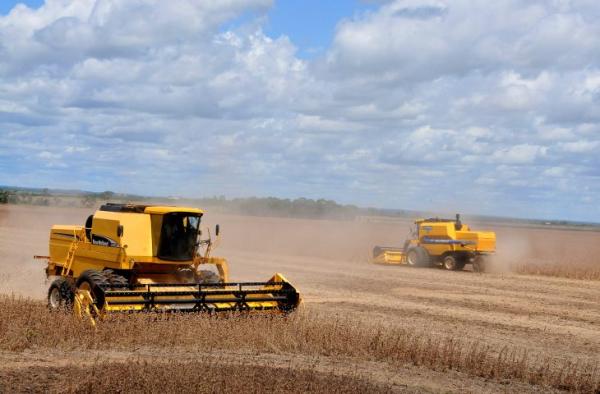 MS se consolida como estado exportador de produtos para mais de 120 países