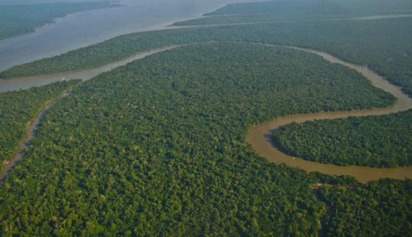Estudo indica que 84% da Amazônia são preservados