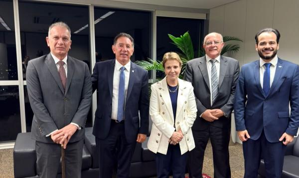 Gerson participa de reunião no TSE sobre plebiscito que decidirá mudança de nome de Rio Verde de Mato Grosso