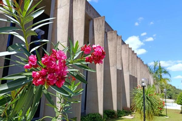 Sessões solenes, reunião de frente e palestra pela saúde do homem estão previstas