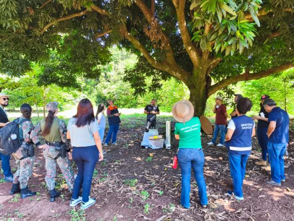Treinamento reforça vigilância de arboviroses zoonóticas com foco na vigilância animal