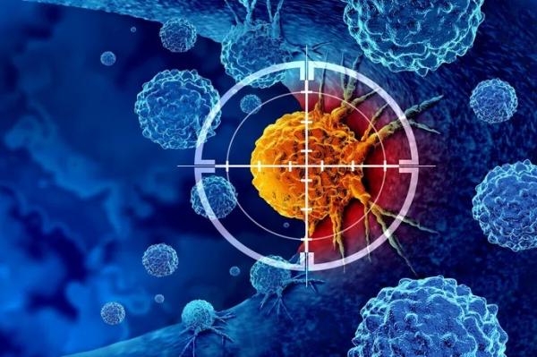 Proteína perdida com a idade pode reativar o sistema imunológico