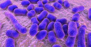 Descoberta revela mapa genético da resistência bacteriana a medicamentos raros
