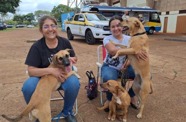 Caravana da Castração inicia os trabalhos de 2026 em Eldorado
