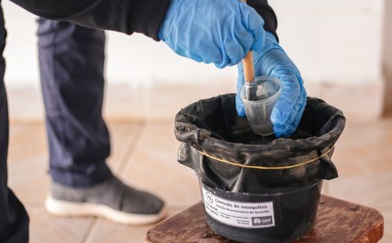 MS se antecipa, alinha estratégias com municípios contra o Aedes aegypti