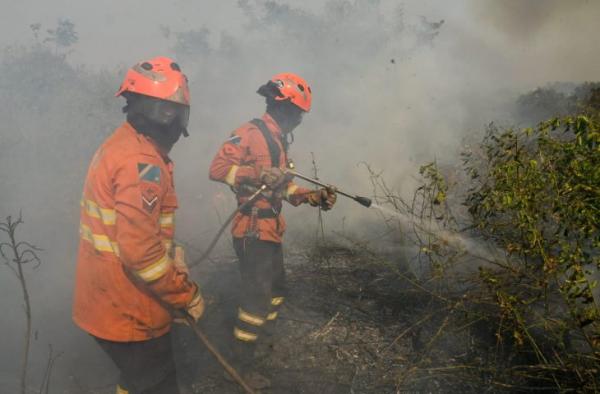 MS mobiliza Corpo de Bombeiros no combate a focos no Pantanal