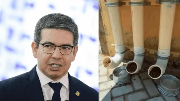 Comedouro para cães inaugurado por Randolfe vai parar no MP