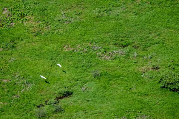 Imasul realiza capacitações regionais do ICMS Ecológico