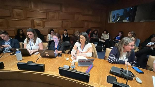 Mato Grosso do Sul leva programa Protege à ONU