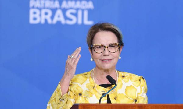Valdemar defende Tereza Cristina como vice de Flávio