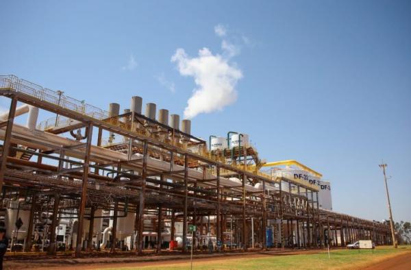 Mato Grosso do Sul projeta safra recorde de etanol