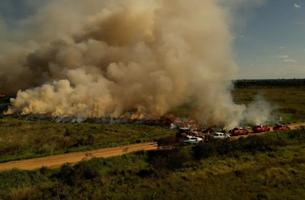 Governo de MS realiza técnica de queima prescrita em parque estadual
