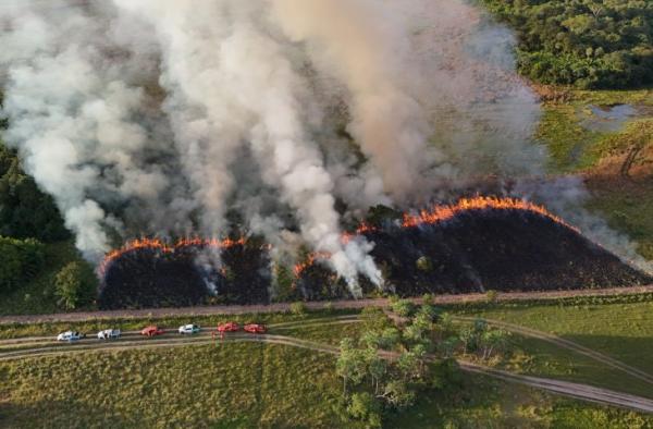Imasul e Corpo de Bombeiros reforçam prevenção a incêndios no Pantanal