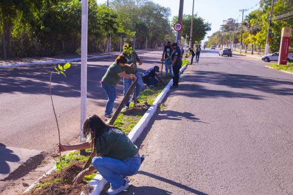Corumbá aposta na arborização para enfrentar efeitos das mudanças climáticas