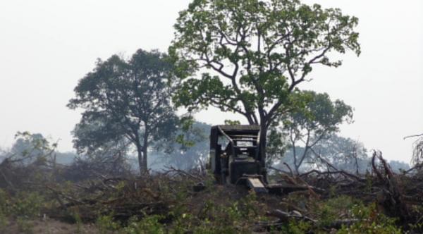 MS é o segundo no país em qualidade do licenciamento ambiental, aponta pesquisa
