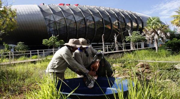 Aquário do Pantanal passa por mutirão contra dengue antes de retomada de obras