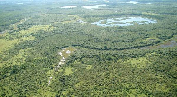 Seminário detalha funcionamento e vantagens da Reserva da Biosfera Pantanal