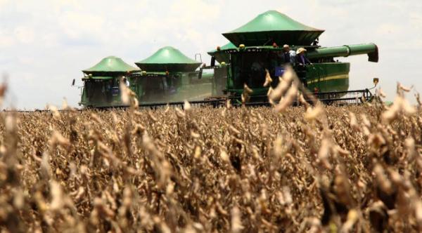 Plano Safra libera recursos a partir de 1º de julho para produtores rurais com taxa de juros menor