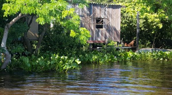 Governo declara emergência em Corumbá devido à cheia no Pantanal; inundações afetaram 2,5 mil pessoas