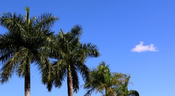Previsão para semana é calor e tempo seco no Estado de MS